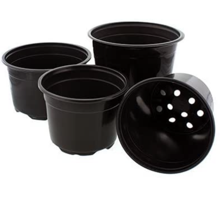 6" Plastic Nursery Pots
